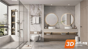 Toilet Skp Files 